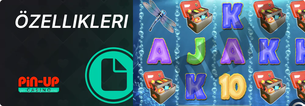 Pin up Big Bass Bonanza oynamak sırasında ortaya çıkabilecek özellikler