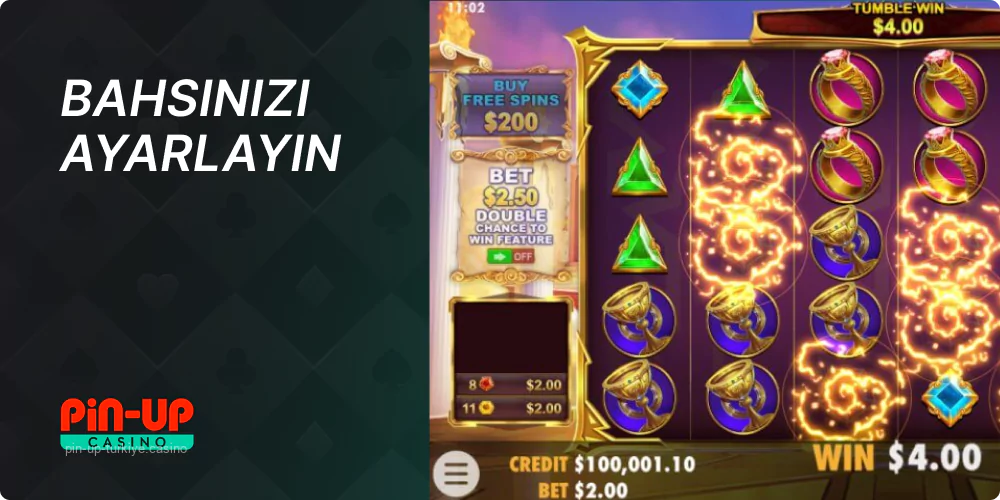 Bahis büyüklüğünü belirleyin Pin Up