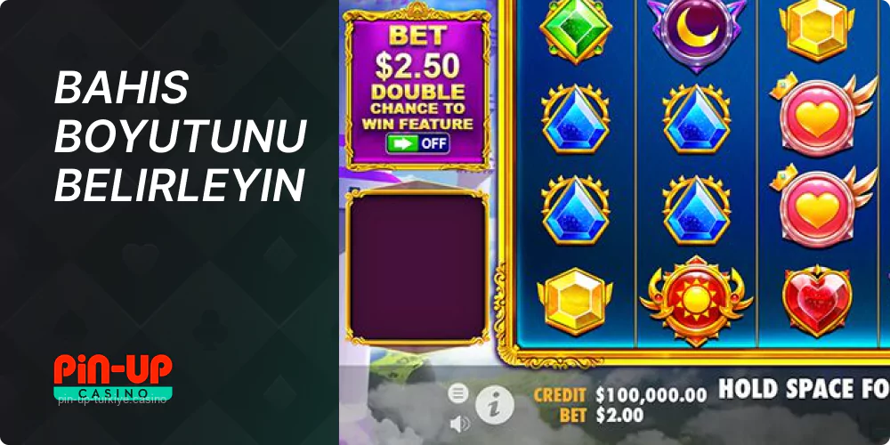 Pin Up bahis boyutunu belirleyin