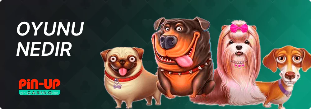 6x4 düzeniyle Pin Up The Dog House Megaways video slotu