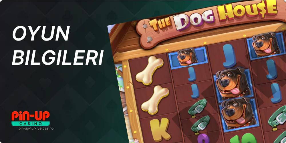 Pin Up The Dog House Megaways oyununun kuralları oldukça detaylıdır