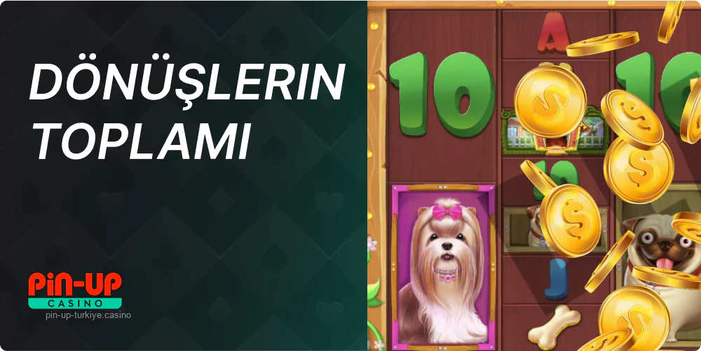 Pin Up hızlı dönüşler ve programlanmış dönüş miktarı