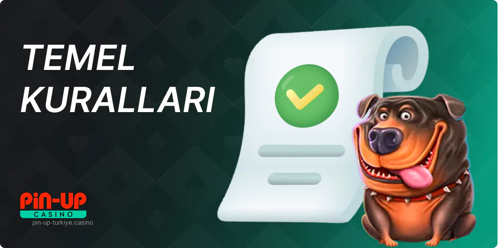 Oyunun temel kuralları Pin Up The Dog House Megaways